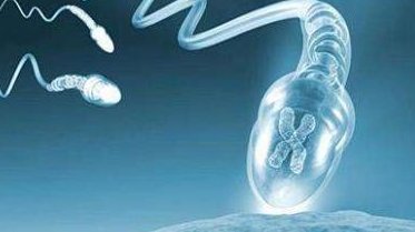 全国十大试管医院成功率排名出炉，2026全国十大医院排名全解析